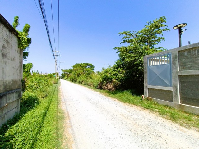 ประกาศฟรี! ซื้อ-ขาย-เช่า คอนโด บ้าน ทาวน์โฮม ที่ดิน และพื้นที่เชิงพาณิชย์ทั่วประเทศไทย ทุกทำเล ทุกงบประมาณ ไม่มีค่าใช้จ่าย ลงง่าย ขายไว เข้าถึงผู้ซื้อโดยตรง 5 317376pic4.jpg