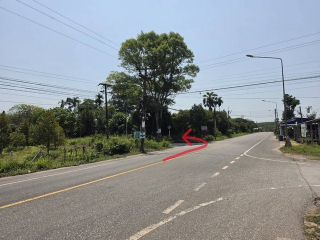 ประกาศฟรี! ซื้อ-ขาย-เช่า คอนโด บ้าน ทาวน์โฮม ที่ดิน และพื้นที่เชิงพาณิชย์ทั่วประเทศไทย ทุกทำเล ทุกงบประมาณ ไม่มีค่าใช้จ่าย ลงง่าย ขายไว เข้าถึงผู้ซื้อโดยตรง 3 258222pic2.jpg