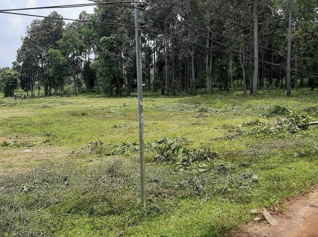 ประกาศฟรี! ซื้อ-ขาย-เช่า คอนโด บ้าน ทาวน์โฮม ที่ดิน และพื้นที่เชิงพาณิชย์ทั่วประเทศไทย ทุกทำเล ทุกงบประมาณ ไม่มีค่าใช้จ่าย ลงง่าย ขายไว เข้าถึงผู้ซื้อโดยตรง 3 258221pic2.jpg