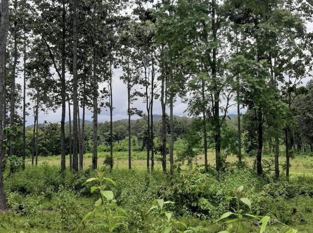 ประกาศฟรี! ซื้อ-ขาย-เช่า คอนโด บ้าน ทาวน์โฮม ที่ดิน และพื้นที่เชิงพาณิชย์ทั่วประเทศไทย ทุกทำเล ทุกงบประมาณ ไม่มีค่าใช้จ่าย ลงง่าย ขายไว เข้าถึงผู้ซื้อโดยตรง 4 258221pic3.jpg