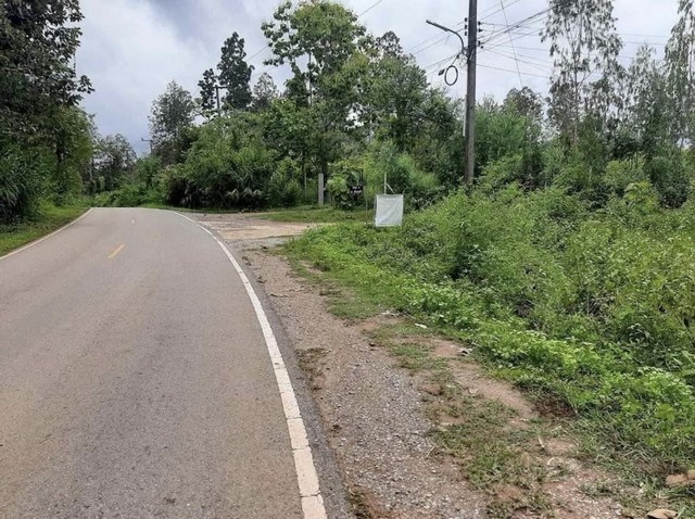 ประกาศฟรี! ซื้อ-ขาย-เช่า คอนโด บ้าน ทาวน์โฮม ที่ดิน และพื้นที่เชิงพาณิชย์ทั่วประเทศไทย ทุกทำเล ทุกงบประมาณ ไม่มีค่าใช้จ่าย ลงง่าย ขายไว เข้าถึงผู้ซื้อโดยตรง 5 258221pic4.jpg