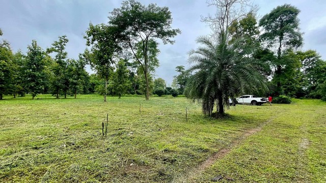 ประกาศฟรี! ซื้อ-ขาย-เช่า คอนโด บ้าน ทาวน์โฮม ที่ดิน และพื้นที่เชิงพาณิชย์ทั่วประเทศไทย ทุกทำเล ทุกงบประมาณ ไม่มีค่าใช้จ่าย ลงง่าย ขายไว เข้าถึงผู้ซื้อโดยตรง 2 258220pic1.jpg