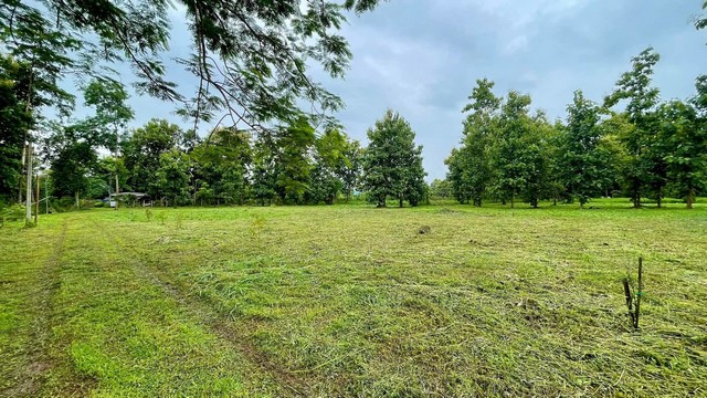 ประกาศฟรี! ซื้อ-ขาย-เช่า คอนโด บ้าน ทาวน์โฮม ที่ดิน และพื้นที่เชิงพาณิชย์ทั่วประเทศไทย ทุกทำเล ทุกงบประมาณ ไม่มีค่าใช้จ่าย ลงง่าย ขายไว เข้าถึงผู้ซื้อโดยตรง 3 258220pic2.jpg