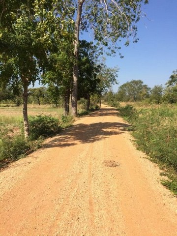 ประกาศฟรี! ซื้อ-ขาย-เช่า คอนโด บ้าน ทาวน์โฮม ที่ดิน และพื้นที่เชิงพาณิชย์ทั่วประเทศไทย ทุกทำเล ทุกงบประมาณ ไม่มีค่าใช้จ่าย ลงง่าย ขายไว เข้าถึงผู้ซื้อโดยตรง 2 294380pic1.jpg