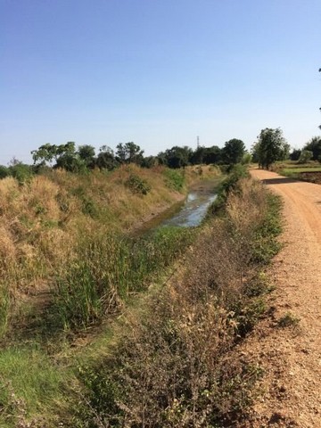 ประกาศฟรี! ซื้อ-ขาย-เช่า คอนโด บ้าน ทาวน์โฮม ที่ดิน และพื้นที่เชิงพาณิชย์ทั่วประเทศไทย ทุกทำเล ทุกงบประมาณ ไม่มีค่าใช้จ่าย ลงง่าย ขายไว เข้าถึงผู้ซื้อโดยตรง 3 294380pic2.jpg