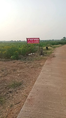 ประกาศฟรี! ซื้อ-ขาย-เช่า คอนโด บ้าน ทาวน์โฮม ที่ดิน และพื้นที่เชิงพาณิชย์ทั่วประเทศไทย ทุกทำเล ทุกงบประมาณ ไม่มีค่าใช้จ่าย ลงง่าย ขายไว เข้าถึงผู้ซื้อโดยตรง 3 317405pic2.jpg