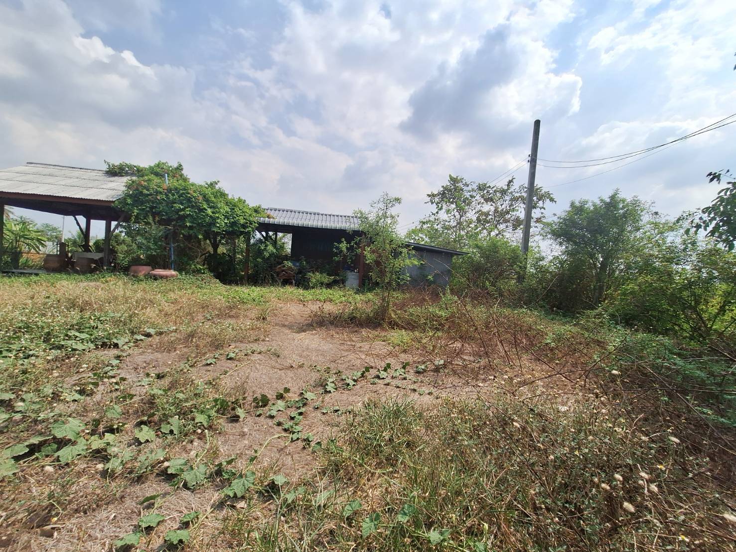 ประกาศฟรี! ซื้อ-ขาย-เช่า คอนโด บ้าน ทาวน์โฮม ที่ดิน และพื้นที่เชิงพาณิชย์ทั่วประเทศไทย ทุกทำเล ทุกงบประมาณ ไม่มีค่าใช้จ่าย ลงง่าย ขายไว เข้าถึงผู้ซื้อโดยตรง 4 294382pic3.jpg