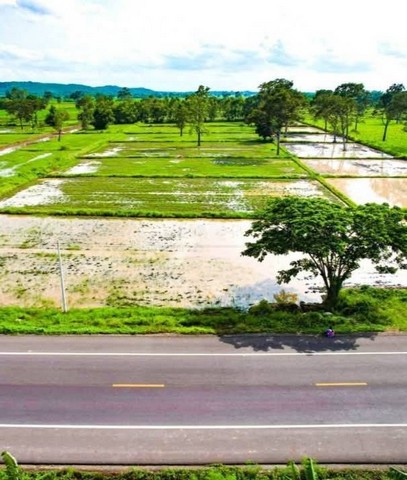 ประกาศฟรี! ซื้อ-ขาย-เช่า คอนโด บ้าน ทาวน์โฮม ที่ดิน และพื้นที่เชิงพาณิชย์ทั่วประเทศไทย ทุกทำเล ทุกงบประมาณ ไม่มีค่าใช้จ่าย ลงง่าย ขายไว เข้าถึงผู้ซื้อโดยตรง 2 258267pic1.jpg