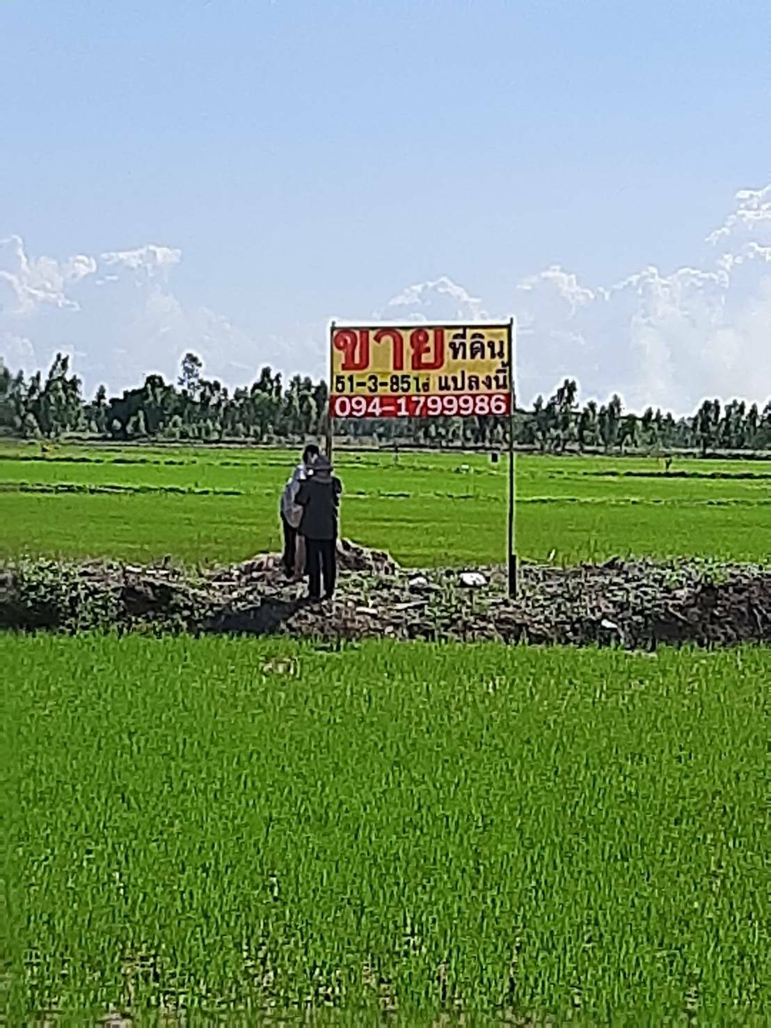 ประกาศฟรี! ซื้อ-ขาย-เช่า คอนโด บ้าน ทาวน์โฮม ที่ดิน และพื้นที่เชิงพาณิชย์ทั่วประเทศไทย ทุกทำเล ทุกงบประมาณ ไม่มีค่าใช้จ่าย ลงง่าย ขายไว เข้าถึงผู้ซื้อโดยตรง 3 292833pic2.jpg