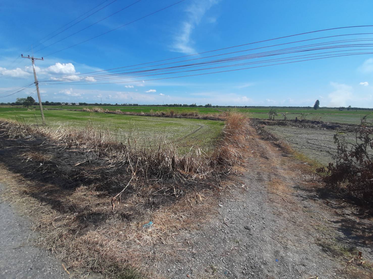 ประกาศฟรี! ซื้อ-ขาย-เช่า คอนโด บ้าน ทาวน์โฮม ที่ดิน และพื้นที่เชิงพาณิชย์ทั่วประเทศไทย ทุกทำเล ทุกงบประมาณ ไม่มีค่าใช้จ่าย ลงง่าย ขายไว เข้าถึงผู้ซื้อโดยตรง 4 292833pic3.jpg