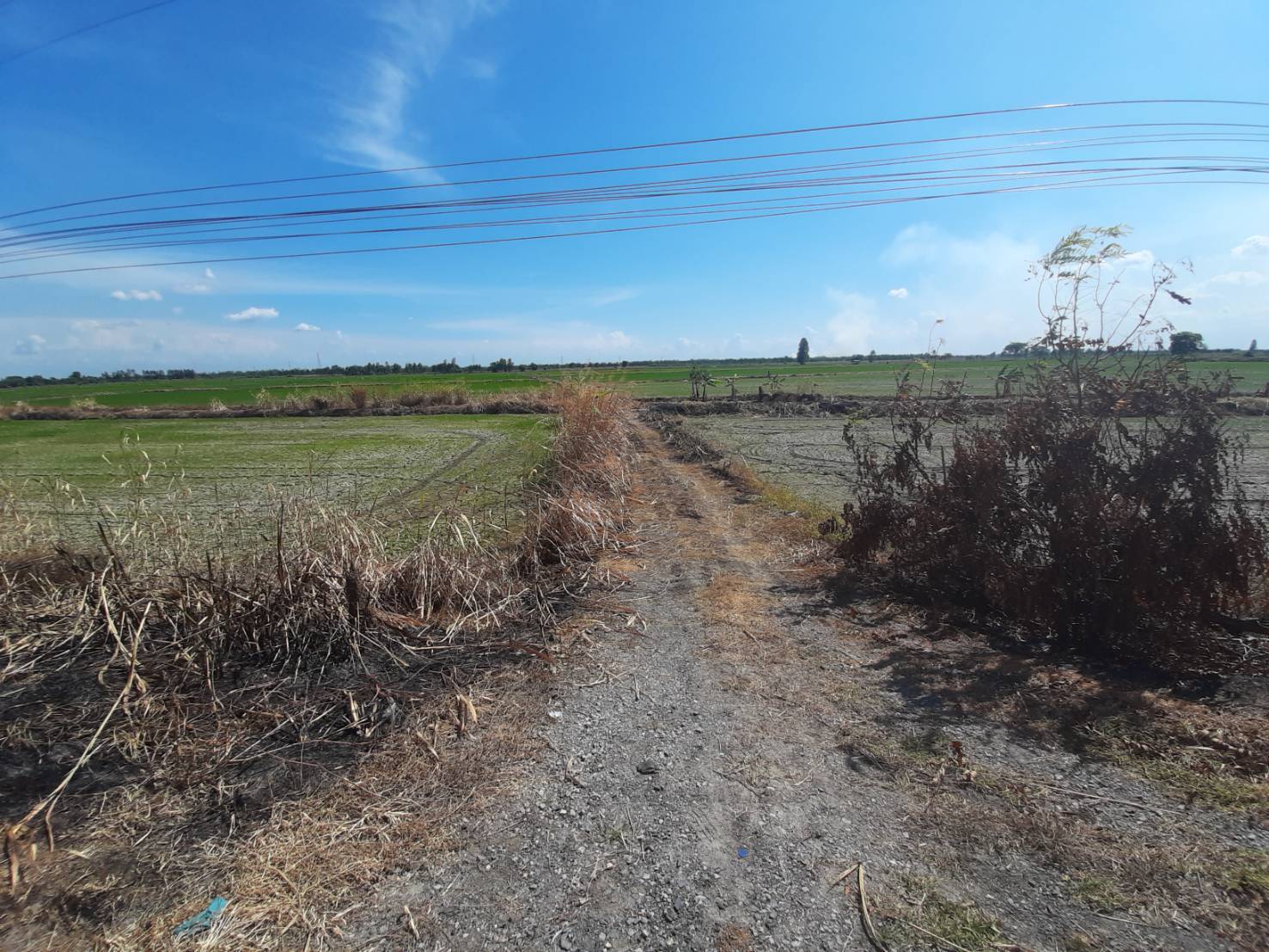 ประกาศฟรี! ซื้อ-ขาย-เช่า คอนโด บ้าน ทาวน์โฮม ที่ดิน และพื้นที่เชิงพาณิชย์ทั่วประเทศไทย ทุกทำเล ทุกงบประมาณ ไม่มีค่าใช้จ่าย ลงง่าย ขายไว เข้าถึงผู้ซื้อโดยตรง 5 292833pic4.jpg