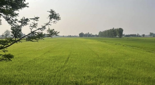 ประกาศฟรี! ซื้อ-ขาย-เช่า คอนโด บ้าน ทาวน์โฮม ที่ดิน และพื้นที่เชิงพาณิชย์ทั่วประเทศไทย ทุกทำเล ทุกงบประมาณ ไม่มีค่าใช้จ่าย ลงง่าย ขายไว เข้าถึงผู้ซื้อโดยตรง 4 258252pic3.jpg