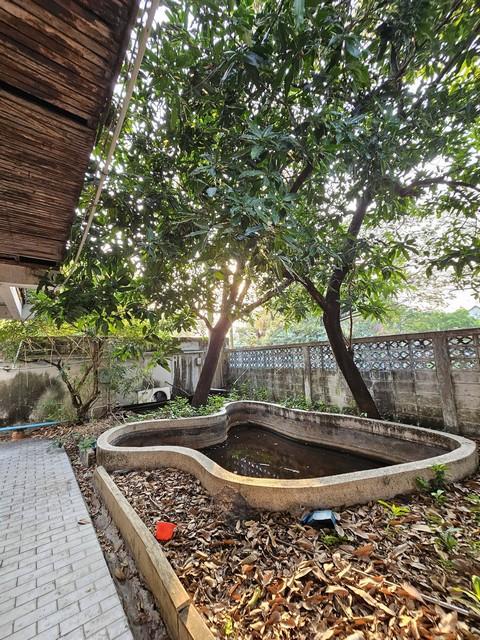 ประกาศฟรี! ซื้อ-ขาย-เช่า คอนโด บ้าน ทาวน์โฮม ที่ดิน และพื้นที่เชิงพาณิชย์ทั่วประเทศไทย ทุกทำเล ทุกงบประมาณ ไม่มีค่าใช้จ่าย ลงง่าย ขายไว เข้าถึงผู้ซื้อโดยตรง 3 518662pic2.jpg