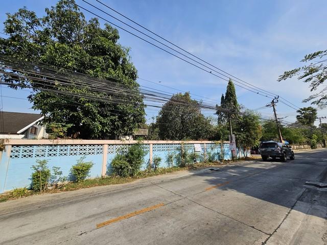 ประกาศฟรี! ซื้อ-ขาย-เช่า คอนโด บ้าน ทาวน์โฮม ที่ดิน และพื้นที่เชิงพาณิชย์ทั่วประเทศไทย ทุกทำเล ทุกงบประมาณ ไม่มีค่าใช้จ่าย ลงง่าย ขายไว เข้าถึงผู้ซื้อโดยตรง 5 518662pic4.jpg