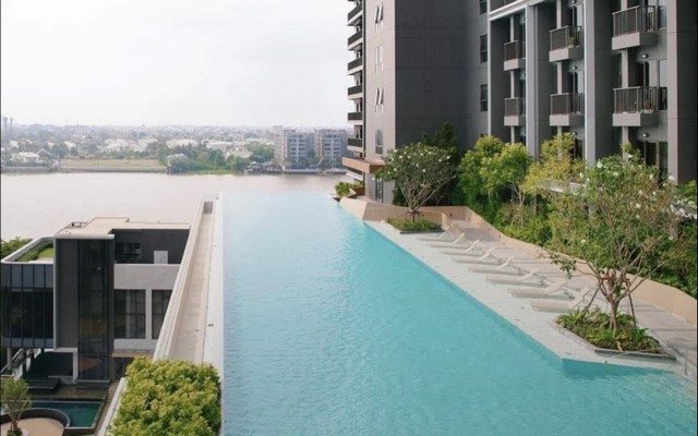 ประกาศฟรี! ซื้อ-ขาย-เช่า คอนโด บ้าน ทาวน์โฮม ที่ดิน และพื้นที่เชิงพาณิชย์ทั่วประเทศไทย ทุกทำเล ทุกงบประมาณ ไม่มีค่าใช้จ่าย ลงง่าย ขายไว เข้าถึงผู้ซื้อโดยตรง 4 258249pic3.jpg