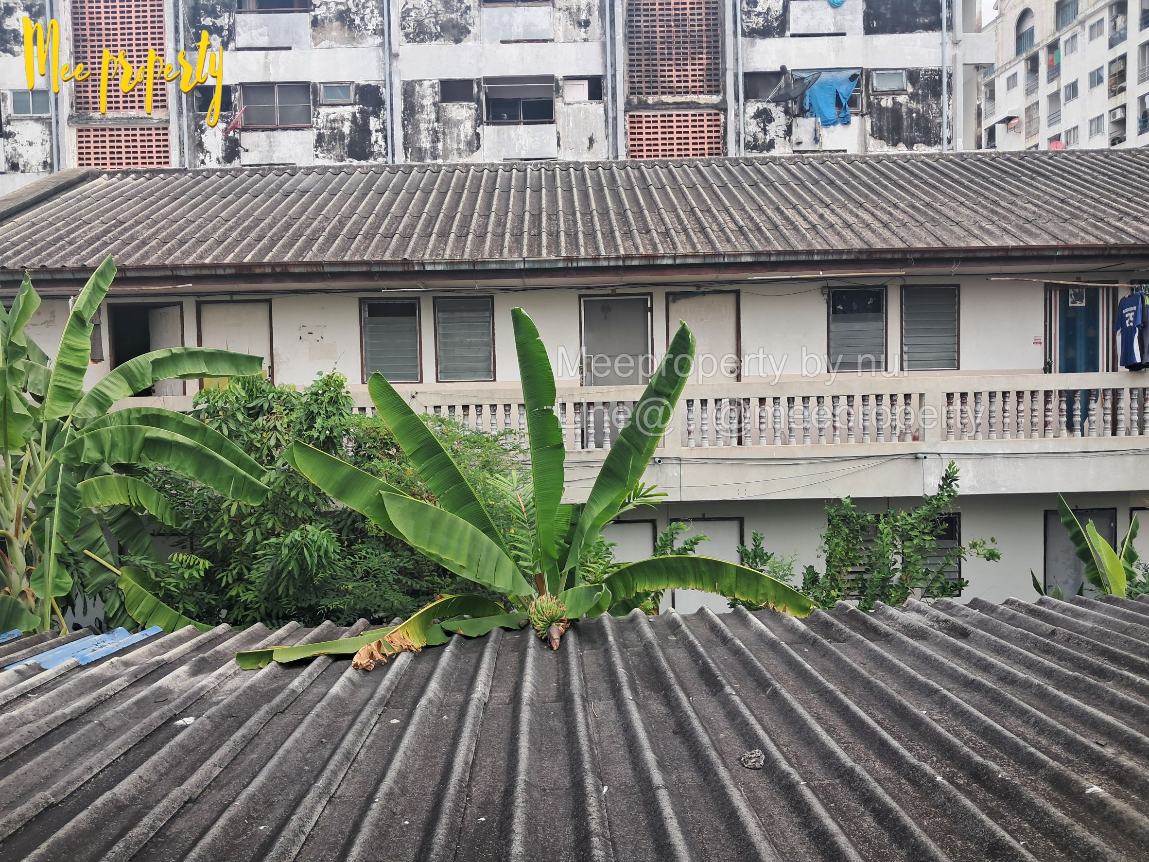 ประกาศฟรี! ซื้อ-ขาย-เช่า คอนโด บ้าน ทาวน์โฮม ที่ดิน และพื้นที่เชิงพาณิชย์ทั่วประเทศไทย ทุกทำเล ทุกงบประมาณ ไม่มีค่าใช้จ่าย ลงง่าย ขายไว เข้าถึงผู้ซื้อโดยตรง 4 204860pic3.jpg