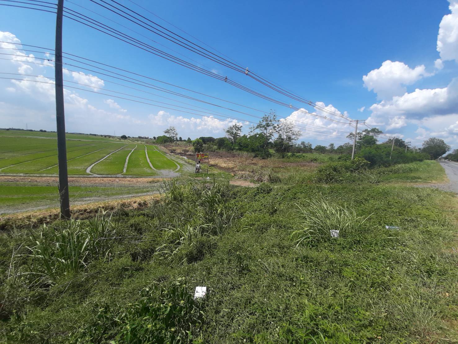 ประกาศฟรี! ซื้อ-ขาย-เช่า คอนโด บ้าน ทาวน์โฮม ที่ดิน และพื้นที่เชิงพาณิชย์ทั่วประเทศไทย ทุกทำเล ทุกงบประมาณ ไม่มีค่าใช้จ่าย ลงง่าย ขายไว เข้าถึงผู้ซื้อโดยตรง 4 294386pic3.jpg