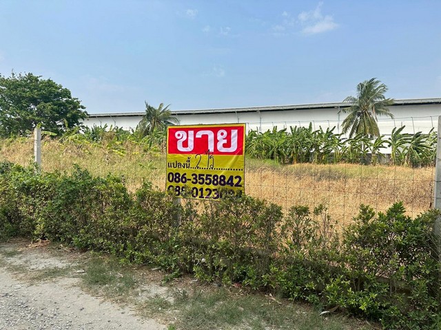 ประกาศฟรี! ซื้อ-ขาย-เช่า คอนโด บ้าน ทาวน์โฮม ที่ดิน และพื้นที่เชิงพาณิชย์ทั่วประเทศไทย ทุกทำเล ทุกงบประมาณ ไม่มีค่าใช้จ่าย ลงง่าย ขายไว เข้าถึงผู้ซื้อโดยตรง 2 518702pic1.jpg