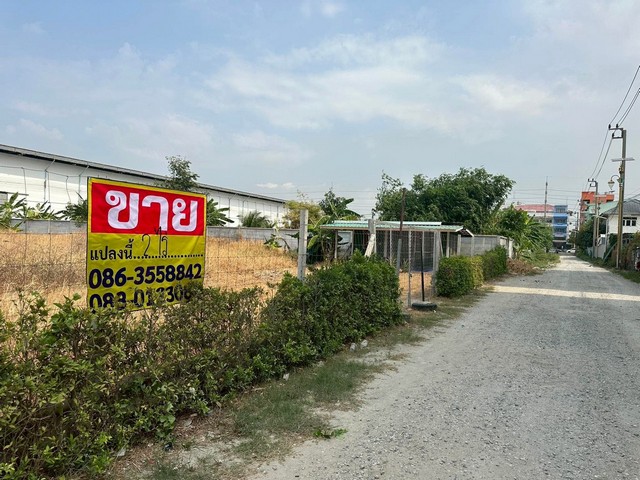 ประกาศฟรี! ซื้อ-ขาย-เช่า คอนโด บ้าน ทาวน์โฮม ที่ดิน และพื้นที่เชิงพาณิชย์ทั่วประเทศไทย ทุกทำเล ทุกงบประมาณ ไม่มีค่าใช้จ่าย ลงง่าย ขายไว เข้าถึงผู้ซื้อโดยตรง 3 518702pic2.jpg