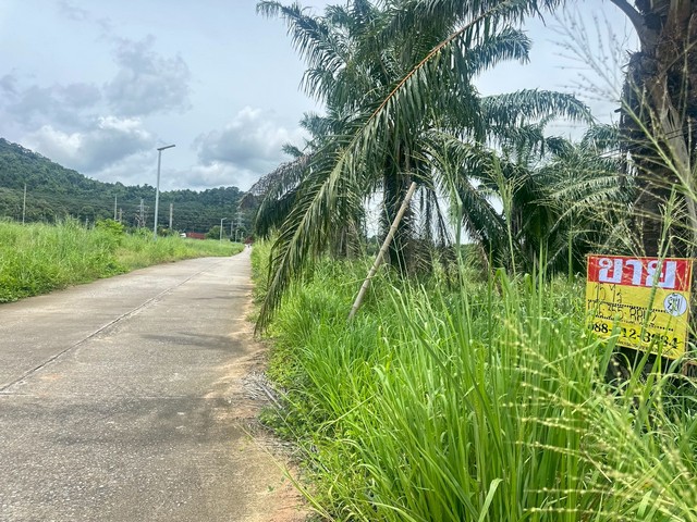 ประกาศฟรี! ซื้อ-ขาย-เช่า คอนโด บ้าน ทาวน์โฮม ที่ดิน และพื้นที่เชิงพาณิชย์ทั่วประเทศไทย ทุกทำเล ทุกงบประมาณ ไม่มีค่าใช้จ่าย ลงง่าย ขายไว เข้าถึงผู้ซื้อโดยตรง 4 518700pic3.jpg