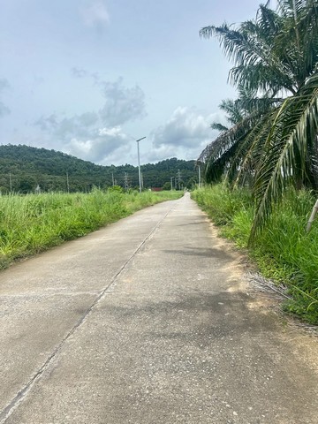 ประกาศฟรี! ซื้อ-ขาย-เช่า คอนโด บ้าน ทาวน์โฮม ที่ดิน และพื้นที่เชิงพาณิชย์ทั่วประเทศไทย ทุกทำเล ทุกงบประมาณ ไม่มีค่าใช้จ่าย ลงง่าย ขายไว เข้าถึงผู้ซื้อโดยตรง 5 518700pic4.jpg