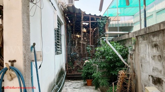 ประกาศฟรี! ซื้อ-ขาย-เช่า คอนโด บ้าน ทาวน์โฮม ที่ดิน และพื้นที่เชิงพาณิชย์ทั่วประเทศไทย ทุกทำเล ทุกงบประมาณ ไม่มีค่าใช้จ่าย ลงง่าย ขายไว เข้าถึงผู้ซื้อโดยตรง 4 258266pic3.jpg