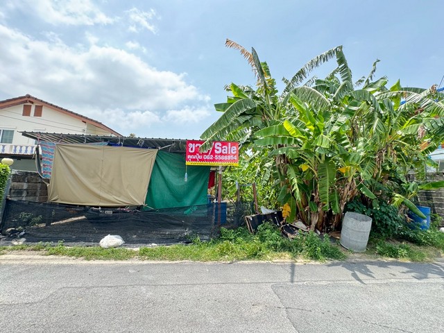 ประกาศฟรี! ซื้อ-ขาย-เช่า คอนโด บ้าน ทาวน์โฮม ที่ดิน และพื้นที่เชิงพาณิชย์ทั่วประเทศไทย ทุกทำเล ทุกงบประมาณ ไม่มีค่าใช้จ่าย ลงง่าย ขายไว เข้าถึงผู้ซื้อโดยตรง 2 317447pic1.jpg