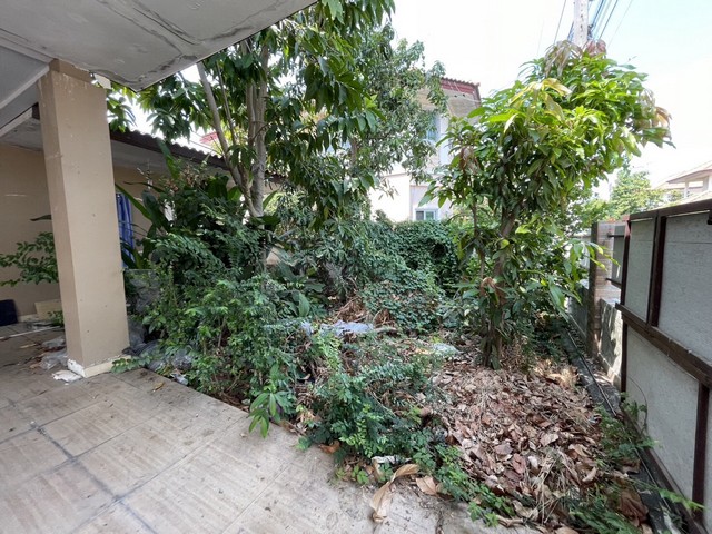 ประกาศฟรี! ซื้อ-ขาย-เช่า คอนโด บ้าน ทาวน์โฮม ที่ดิน และพื้นที่เชิงพาณิชย์ทั่วประเทศไทย ทุกทำเล ทุกงบประมาณ ไม่มีค่าใช้จ่าย ลงง่าย ขายไว เข้าถึงผู้ซื้อโดยตรง 3 258205pic2.jpg