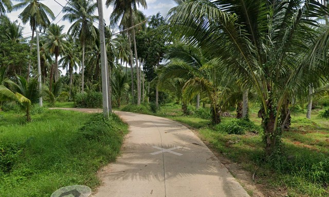 ประกาศฟรี! ซื้อ-ขาย-เช่า คอนโด บ้าน ทาวน์โฮม ที่ดิน และพื้นที่เชิงพาณิชย์ทั่วประเทศไทย ทุกทำเล ทุกงบประมาณ ไม่มีค่าใช้จ่าย ลงง่าย ขายไว เข้าถึงผู้ซื้อโดยตรง 5 11744pic4.jpg