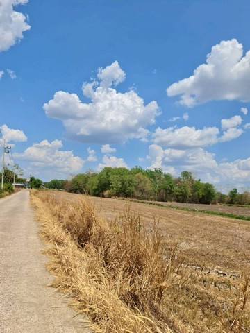 ประกาศฟรี! ซื้อ-ขาย-เช่า คอนโด บ้าน ทาวน์โฮม ที่ดิน และพื้นที่เชิงพาณิชย์ทั่วประเทศไทย ทุกทำเล ทุกงบประมาณ ไม่มีค่าใช้จ่าย ลงง่าย ขายไว เข้าถึงผู้ซื้อโดยตรง 4 317468pic3.jpg