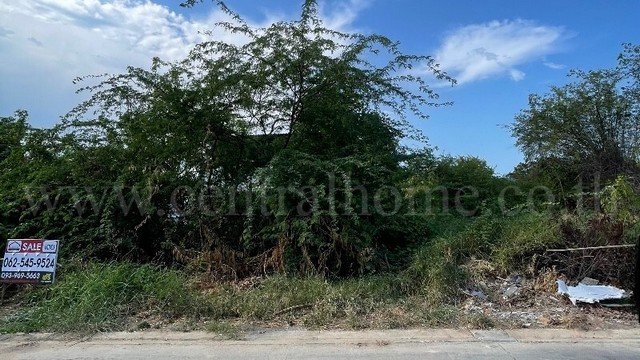 ประกาศฟรี! ซื้อ-ขาย-เช่า คอนโด บ้าน ทาวน์โฮม ที่ดิน และพื้นที่เชิงพาณิชย์ทั่วประเทศไทย ทุกทำเล ทุกงบประมาณ ไม่มีค่าใช้จ่าย ลงง่าย ขายไว เข้าถึงผู้ซื้อโดยตรง 5 258363pic4.jpg