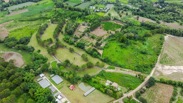 ประกาศฟรี! ซื้อ-ขาย-เช่า คอนโด บ้าน ทาวน์โฮม ที่ดิน และพื้นที่เชิงพาณิชย์ทั่วประเทศไทย ทุกทำเล ทุกงบประมาณ ไม่มีค่าใช้จ่าย ลงง่าย ขายไว เข้าถึงผู้ซื้อโดยตรง 2 258430pic1.jpg