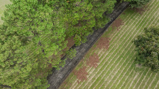 ประกาศฟรี! ซื้อ-ขาย-เช่า คอนโด บ้าน ทาวน์โฮม ที่ดิน และพื้นที่เชิงพาณิชย์ทั่วประเทศไทย ทุกทำเล ทุกงบประมาณ ไม่มีค่าใช้จ่าย ลงง่าย ขายไว เข้าถึงผู้ซื้อโดยตรง 4 258430pic3.jpg