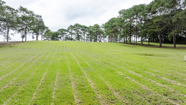 ประกาศฟรี! ซื้อ-ขาย-เช่า คอนโด บ้าน ทาวน์โฮม ที่ดิน และพื้นที่เชิงพาณิชย์ทั่วประเทศไทย ทุกทำเล ทุกงบประมาณ ไม่มีค่าใช้จ่าย ลงง่าย ขายไว เข้าถึงผู้ซื้อโดยตรง 5 258430pic4.jpg