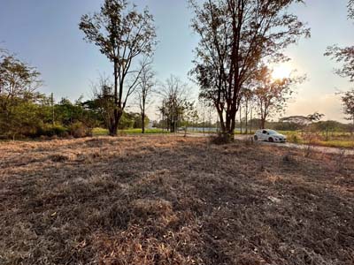 ประกาศฟรี! ซื้อ-ขาย-เช่า คอนโด บ้าน ทาวน์โฮม ที่ดิน และพื้นที่เชิงพาณิชย์ทั่วประเทศไทย ทุกทำเล ทุกงบประมาณ ไม่มีค่าใช้จ่าย ลงง่าย ขายไว เข้าถึงผู้ซื้อโดยตรง 2 317421pic1.jpg