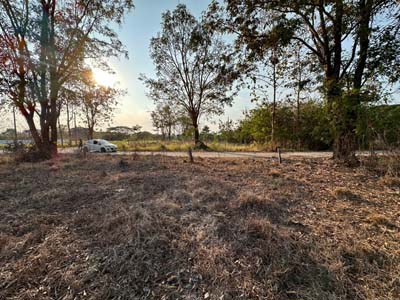 ประกาศฟรี! ซื้อ-ขาย-เช่า คอนโด บ้าน ทาวน์โฮม ที่ดิน และพื้นที่เชิงพาณิชย์ทั่วประเทศไทย ทุกทำเล ทุกงบประมาณ ไม่มีค่าใช้จ่าย ลงง่าย ขายไว เข้าถึงผู้ซื้อโดยตรง 3 317421pic2.jpg