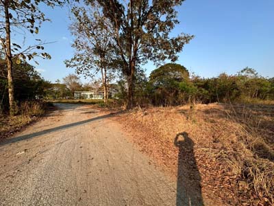 ประกาศฟรี! ซื้อ-ขาย-เช่า คอนโด บ้าน ทาวน์โฮม ที่ดิน และพื้นที่เชิงพาณิชย์ทั่วประเทศไทย ทุกทำเล ทุกงบประมาณ ไม่มีค่าใช้จ่าย ลงง่าย ขายไว เข้าถึงผู้ซื้อโดยตรง 4 317421pic3.jpg