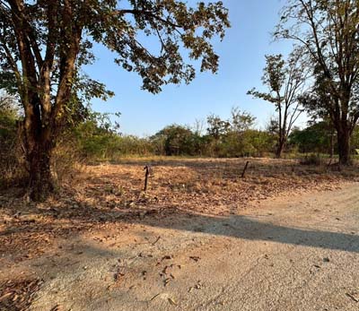 ประกาศฟรี! ซื้อ-ขาย-เช่า คอนโด บ้าน ทาวน์โฮม ที่ดิน และพื้นที่เชิงพาณิชย์ทั่วประเทศไทย ทุกทำเล ทุกงบประมาณ ไม่มีค่าใช้จ่าย ลงง่าย ขายไว เข้าถึงผู้ซื้อโดยตรง 5 317421pic4.jpg