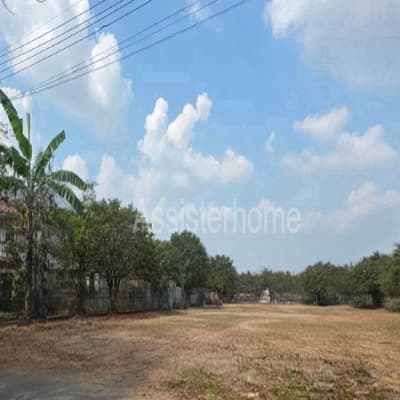 ประกาศฟรี! ซื้อ-ขาย-เช่า คอนโด บ้าน ทาวน์โฮม ที่ดิน และพื้นที่เชิงพาณิชย์ทั่วประเทศไทย ทุกทำเล ทุกงบประมาณ ไม่มีค่าใช้จ่าย ลงง่าย ขายไว เข้าถึงผู้ซื้อโดยตรง 2 314305pic1.jpg