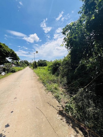 ประกาศฟรี! ซื้อ-ขาย-เช่า คอนโด บ้าน ทาวน์โฮม ที่ดิน และพื้นที่เชิงพาณิชย์ทั่วประเทศไทย ทุกทำเล ทุกงบประมาณ ไม่มีค่าใช้จ่าย ลงง่าย ขายไว เข้าถึงผู้ซื้อโดยตรง 5 259374pic4.jpg