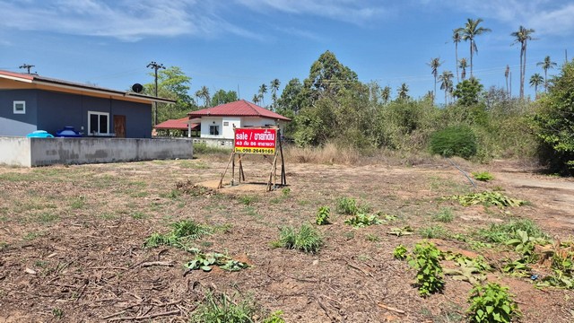 ประกาศฟรี! ซื้อ-ขาย-เช่า คอนโด บ้าน ทาวน์โฮม ที่ดิน และพื้นที่เชิงพาณิชย์ทั่วประเทศไทย ทุกทำเล ทุกงบประมาณ ไม่มีค่าใช้จ่าย ลงง่าย ขายไว เข้าถึงผู้ซื้อโดยตรง 2 259405pic1.jpg