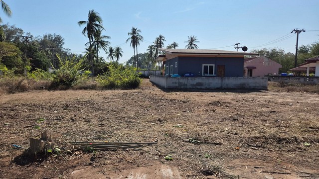 ประกาศฟรี! ซื้อ-ขาย-เช่า คอนโด บ้าน ทาวน์โฮม ที่ดิน และพื้นที่เชิงพาณิชย์ทั่วประเทศไทย ทุกทำเล ทุกงบประมาณ ไม่มีค่าใช้จ่าย ลงง่าย ขายไว เข้าถึงผู้ซื้อโดยตรง 5 259405pic4.jpg