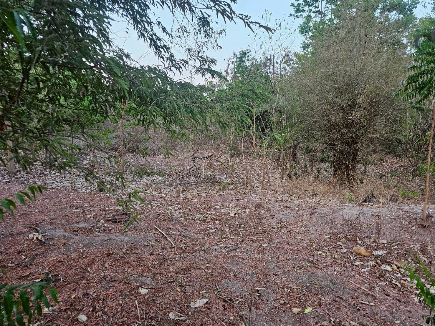 ประกาศฟรี! ซื้อ-ขาย-เช่า คอนโด บ้าน ทาวน์โฮม ที่ดิน และพื้นที่เชิงพาณิชย์ทั่วประเทศไทย ทุกทำเล ทุกงบประมาณ ไม่มีค่าใช้จ่าย ลงง่าย ขายไว เข้าถึงผู้ซื้อโดยตรง 5 317636pic4.jpg