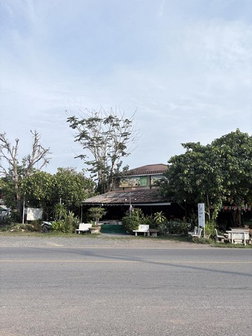 ประกาศฟรี! ซื้อ-ขาย-เช่า คอนโด บ้าน ทาวน์โฮม ที่ดิน และพื้นที่เชิงพาณิชย์ทั่วประเทศไทย ทุกทำเล ทุกงบประมาณ ไม่มีค่าใช้จ่าย ลงง่าย ขายไว เข้าถึงผู้ซื้อโดยตรง 5 259445pic4.jpg