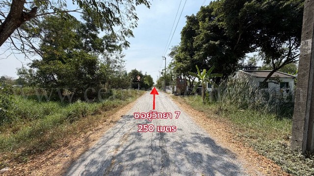 ประกาศฟรี! ซื้อ-ขาย-เช่า คอนโด บ้าน ทาวน์โฮม ที่ดิน และพื้นที่เชิงพาณิชย์ทั่วประเทศไทย ทุกทำเล ทุกงบประมาณ ไม่มีค่าใช้จ่าย ลงง่าย ขายไว เข้าถึงผู้ซื้อโดยตรง 5 252251pic4.jpg