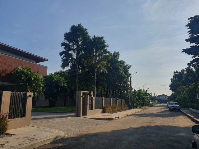 ประกาศฟรี! ซื้อ-ขาย-เช่า คอนโด บ้าน ทาวน์โฮม ที่ดิน และพื้นที่เชิงพาณิชย์ทั่วประเทศไทย ทุกทำเล ทุกงบประมาณ ไม่มีค่าใช้จ่าย ลงง่าย ขายไว เข้าถึงผู้ซื้อโดยตรง 3 519271pic2.jpg