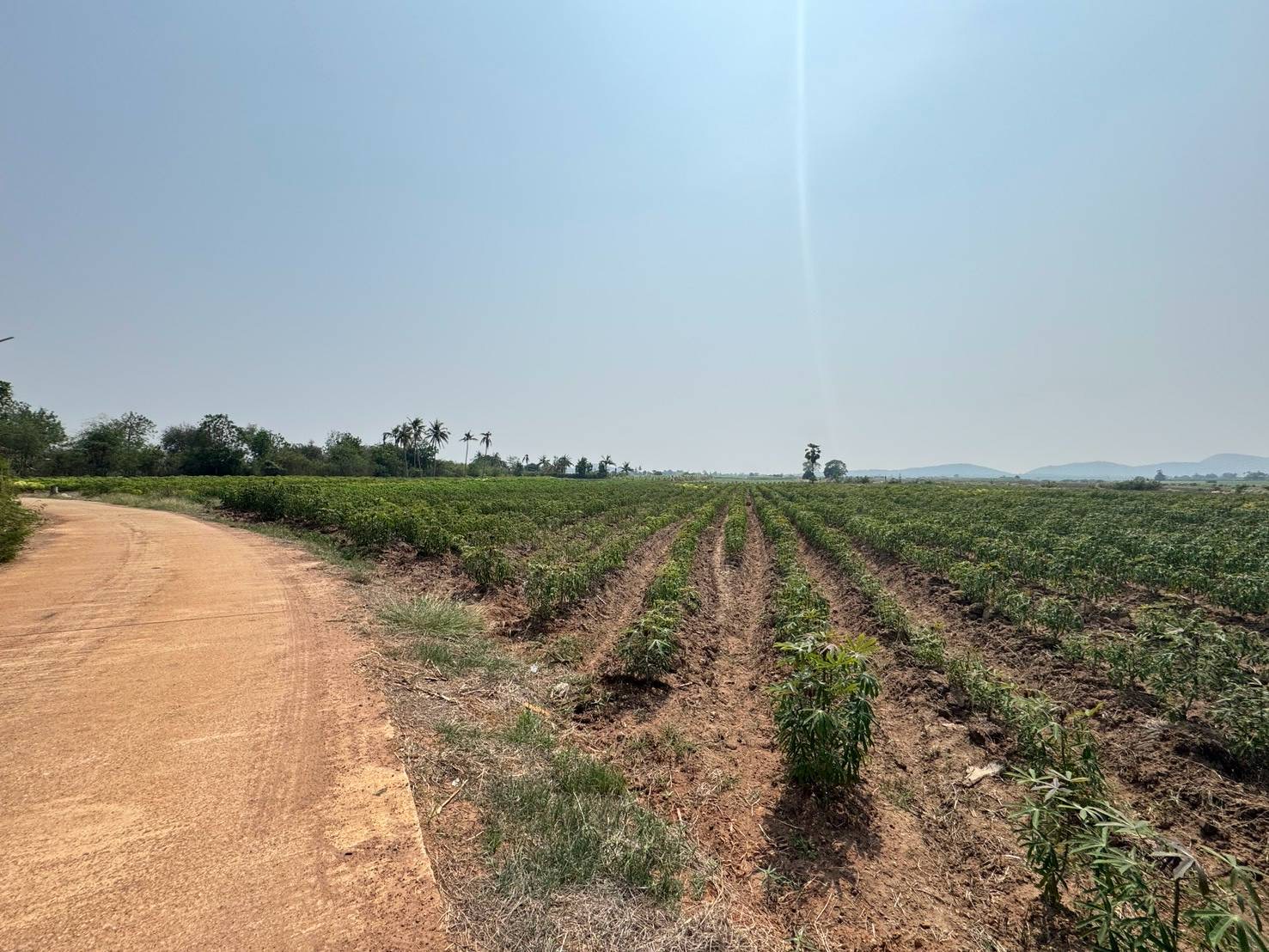 ประกาศฟรี! ซื้อ-ขาย-เช่า คอนโด บ้าน ทาวน์โฮม ที่ดิน และพื้นที่เชิงพาณิชย์ทั่วประเทศไทย ทุกทำเล ทุกงบประมาณ ไม่มีค่าใช้จ่าย ลงง่าย ขายไว เข้าถึงผู้ซื้อโดยตรง 5 317700pic4.jpg