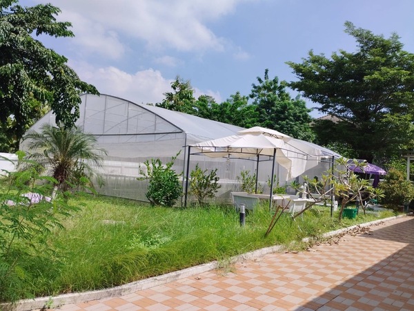 ประกาศฟรี! ซื้อ-ขาย-เช่า คอนโด บ้าน ทาวน์โฮม ที่ดิน และพื้นที่เชิงพาณิชย์ทั่วประเทศไทย ทุกทำเล ทุกงบประมาณ ไม่มีค่าใช้จ่าย ลงง่าย ขายไว เข้าถึงผู้ซื้อโดยตรง 5 519323pic4.jpg