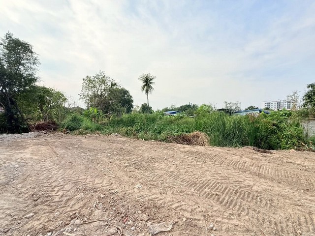 ประกาศฟรี! ซื้อ-ขาย-เช่า คอนโด บ้าน ทาวน์โฮม ที่ดิน และพื้นที่เชิงพาณิชย์ทั่วประเทศไทย ทุกทำเล ทุกงบประมาณ ไม่มีค่าใช้จ่าย ลงง่าย ขายไว เข้าถึงผู้ซื้อโดยตรง 3 259550pic2.jpg