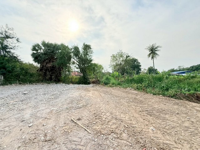 ประกาศฟรี! ซื้อ-ขาย-เช่า คอนโด บ้าน ทาวน์โฮม ที่ดิน และพื้นที่เชิงพาณิชย์ทั่วประเทศไทย ทุกทำเล ทุกงบประมาณ ไม่มีค่าใช้จ่าย ลงง่าย ขายไว เข้าถึงผู้ซื้อโดยตรง 5 259550pic4.jpg